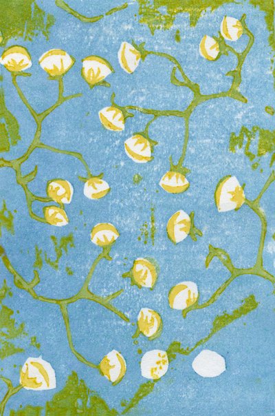 Cabezas de semillas esponjosas, 2012 de Bella Larsson